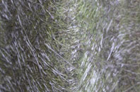 Unstone fibreglass roof work